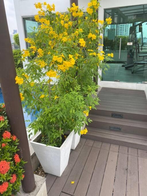 Delightful Condo In Central Location At Sukhumvit 49 Бангкок Екстер'єр фото